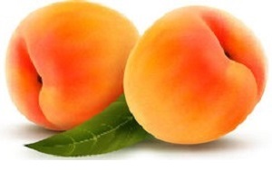two orange peaches and one green leaf