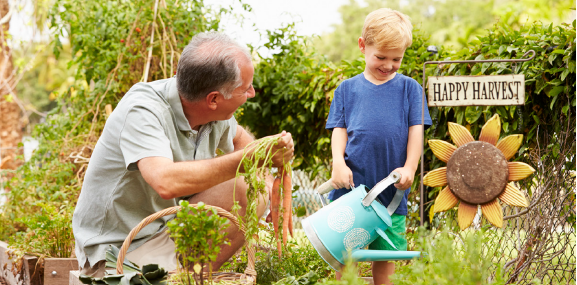 young boy spending time with his grandfather in the vegetable garden