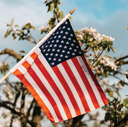 American flag posted in front of white flower bush with blue skies in background