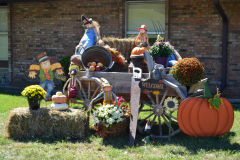 Seasonal Yard Displays